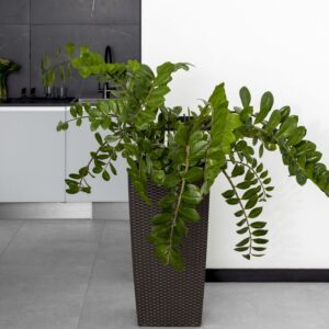 Кашпо для цветов напольное с автополивом Rattan Ola Dom, 31л